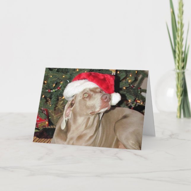 Cartão De Festividades Papais noeis - Chuva (também conhecida por Raina) (Frente)