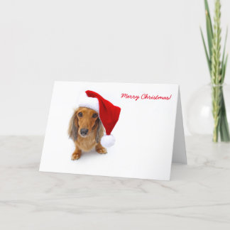 Cartão De Festividades papais noeis dachshund