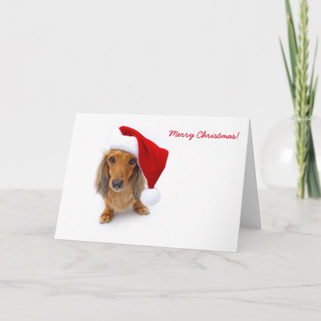 Cartão De Festividades papais noeis dachshund (Frente)