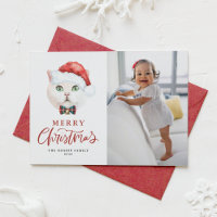 Papais noeis de gato branco britânico Red Photo Ch