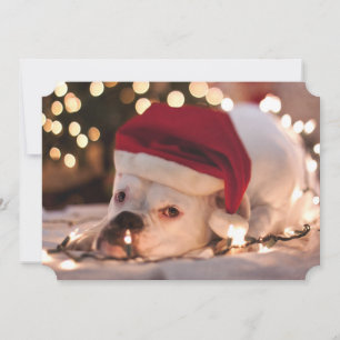 Cartão De Festividades Papais noeis in a box