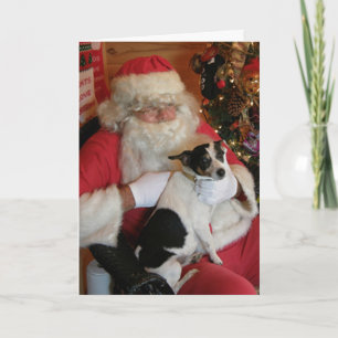 Cartão De Festividades Papais noeis & Jack Russell