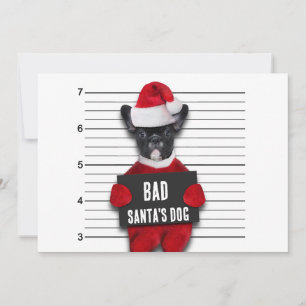 Cartão De Festividades Papais noeis Más Dog Mugshot Engraçado
