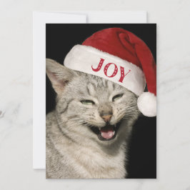 Cartão De Festividades Papais noeis Muito Engraçados Gato Ria Foto Natal