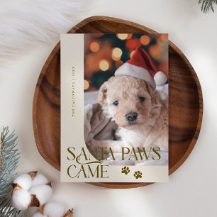 Cartão De Festividades Papais noeis - Paws Veio Cachorro Foto De Natal