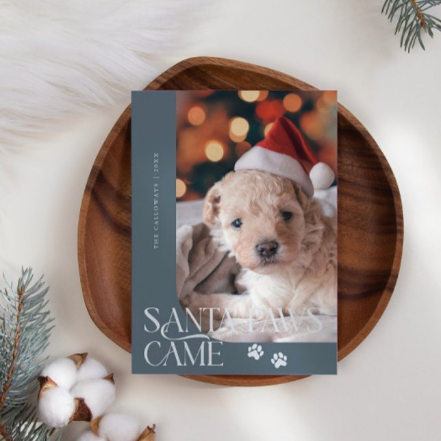 Cartão De Festividades Papais noeis - Paws Veio Cachorro Foto Slate Blue  (Criador carregado)