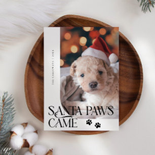 Cartão De Festividades Papais noeis - Paws Veio Cachorro Foto White Natal