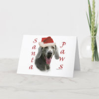 Papais noeis Weimaraner