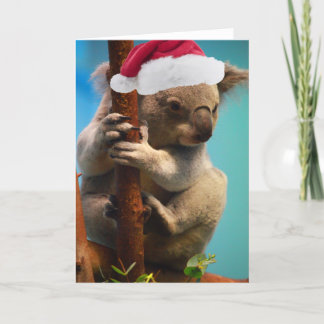 Cartão De Festividades Para baixo sob o Koala do Natal