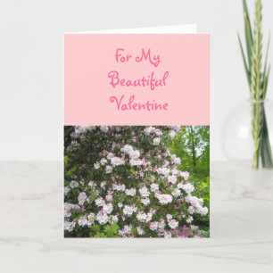Cartão De Festividades Para Meu Belo Valentim