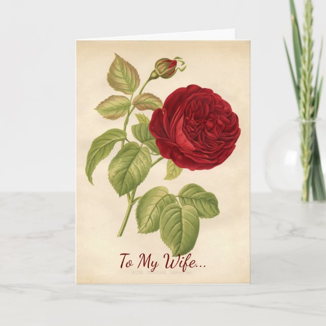 Cartão De Festividades Para Minha Esposa no Dia dos Namorados (Frente)