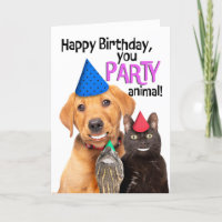 Parabéns Festa de Aniversário Feliz Animais Felize