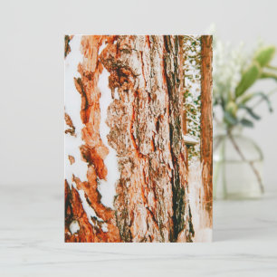 Cartão De Festividades Paraíso Invernal em Bend - Oregon 