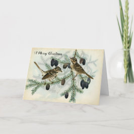Cartão De Festividades Pardais do Natal no feriado dos ramos de pinheiro