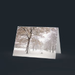 Cartão De Festividades Parque de Greenwich no inverno<br><div class="desc">Parque de Greenwich no inverno sob a queda de neve</div>