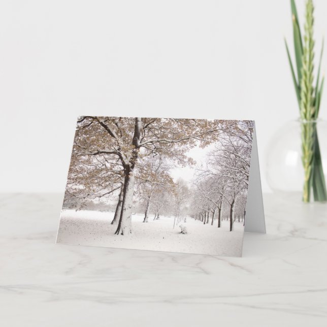 Cartão De Festividades Parque de Greenwich no inverno (Frente)