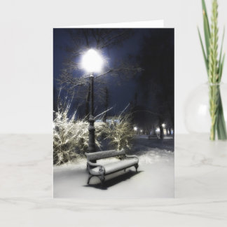 Cartão De Festividades Parque nevado