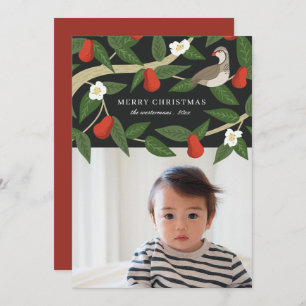 Cartão De Festividades Partucho bonito em uma árvore pera   Foto Natal