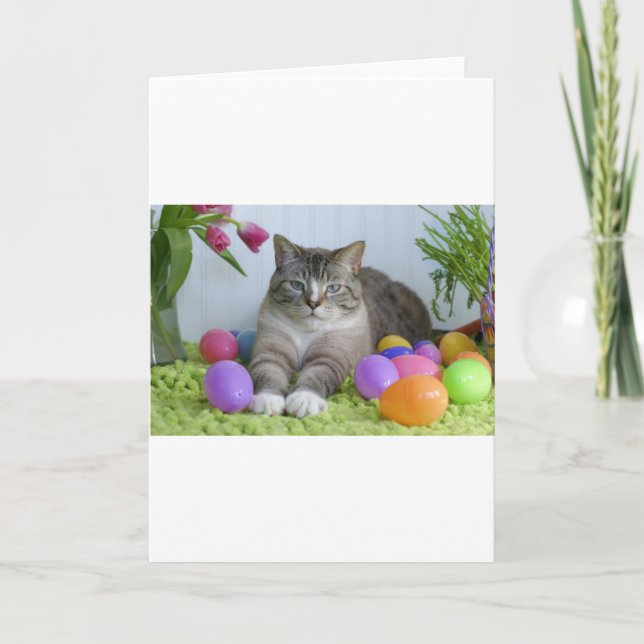 Cartão De Festividades Páscoa Cat (Frente)