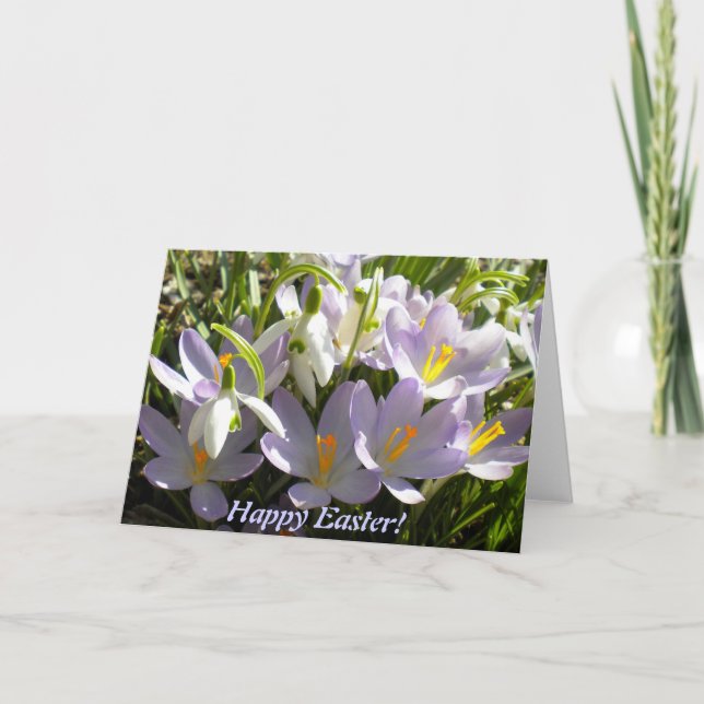 Cartão De Festividades Páscoa Crocus Greeting Card (Frente)
