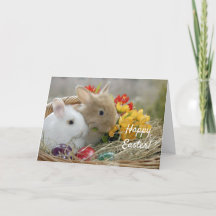 Páscoa de cesta de coelhos