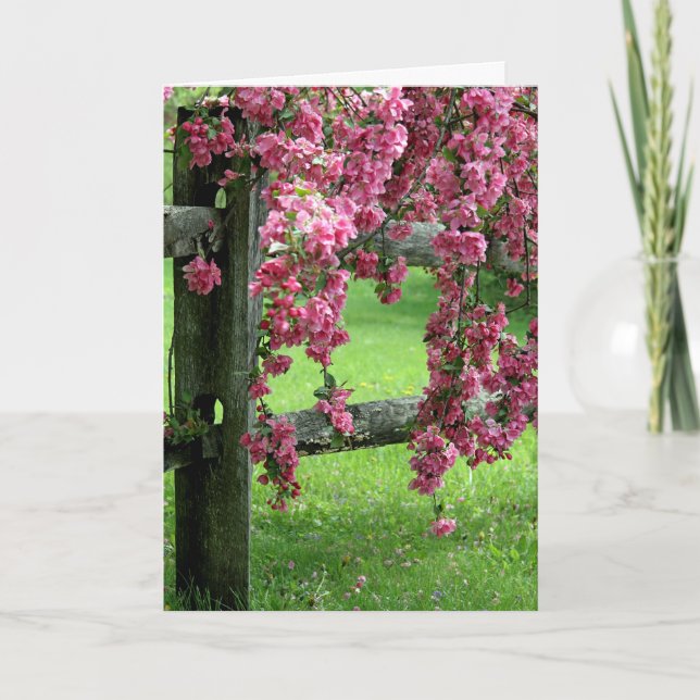 Cartão De Festividades Páscoa Dogwood (Frente)