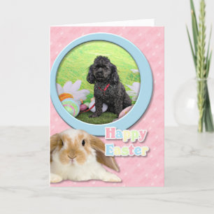 Cartão De Festividades Páscoa - Poodle - Junior