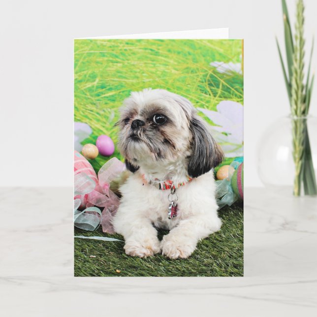 Cartão De Festividades Páscoa - Shih Tzu - Sophie (Frente)