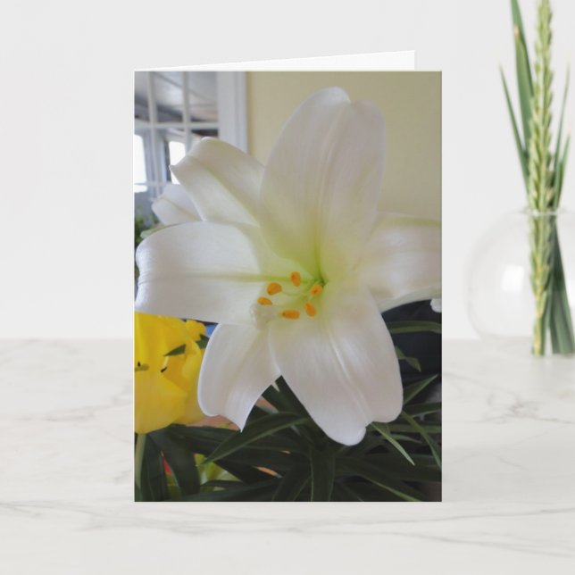 Cartão De Festividades Páscoa White Lily (Frente)