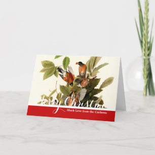 Cartão De Festividades Pássaro americano dos animais selvagens do pisco