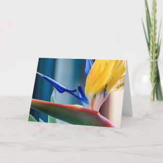 Cartão De Festividades Pássaro da flor de paraíso