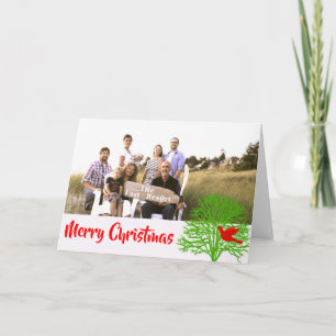 Cartão De Festividades Pássaro de Natal -