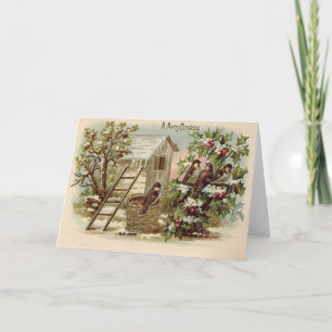 Cartão De Festividades Pássaro de Natal Holly Snow Harvest