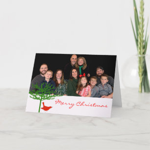 Cartão De Festividades Pássaro de Natal - - Personalizado