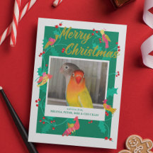 Pássaros de Arte Popular, Natal com Foto Personali
