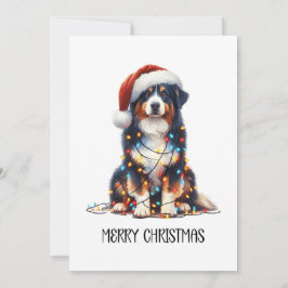 Cartão De Festividades Pastor australiano molhado à luz de Natal