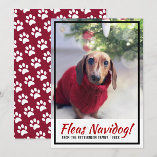 Cartão De Festividades Pata de Natal Imprimida para Canetas de Cão Dachs