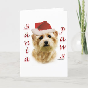 Cartão De Festividades Patas do papai noel de Norfolk Terrier