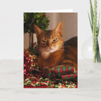 Cartão De Festividades Patas para os feriados