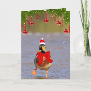 Cartão De Festividades Pato-real Divertido Natal Festivo