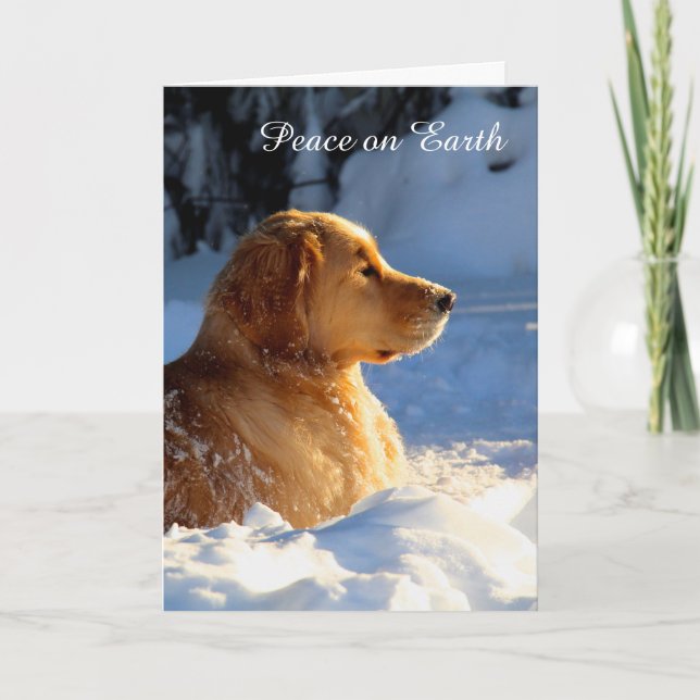 Cartão De Festividades Paz (Frente)