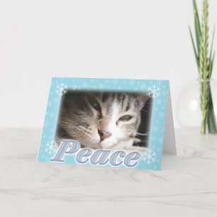 Cartão De Festividades Paz