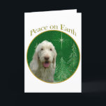 Cartão De Festividades Paz de Spinone Italiano<br><div class="desc">Paz na terra. Mostre sua razão para a estação com seu Spinone Italiano neste design original do cão acentuado com verde e ouro. Vai o excelente em um ornamento,  em um cartão ou em uma etiqueta.</div>