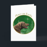 Cartão De Festividades Paz do Retriever de baía de Chesapeake<br><div class="desc">Paz na terra. Mostre sua razão para a estação com seu Retriever de baía de Chesapeake neste design original do cão acentuado com verde e ouro. Vai o excelente em um ornamento,  em um cartão ou em uma etiqueta.</div>