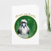 Paz do Shih Tzu