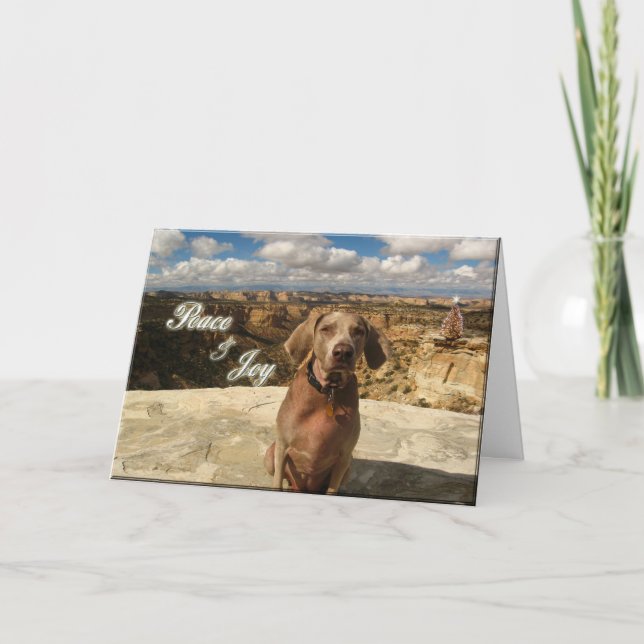 Cartão De Festividades Paz e alegria do esforço (Frente)