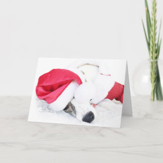 Cartão De Festividades Paz e biscoitos de Ryder