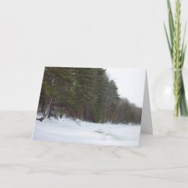 Cartão De Festividades Paz na terra