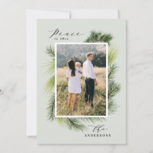Cartão De Festividades Paz para o Natal da folhagem dos pinheiros moderno