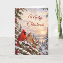 Pazífico Natal dos Cardinals do Norte